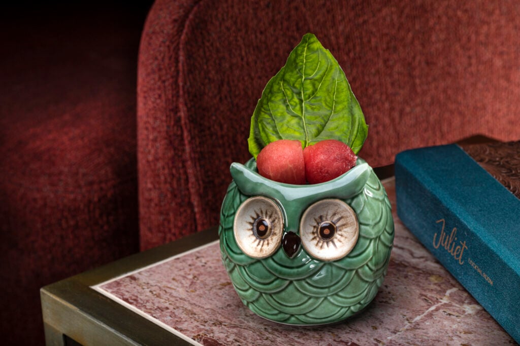 a green owl shaped container with watermelons and a leaf